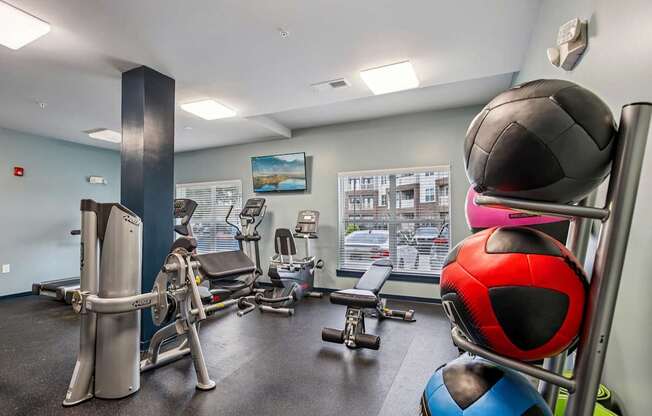 A gym with a variety of equipment including weights, a bench, and a rack of exercise balls.