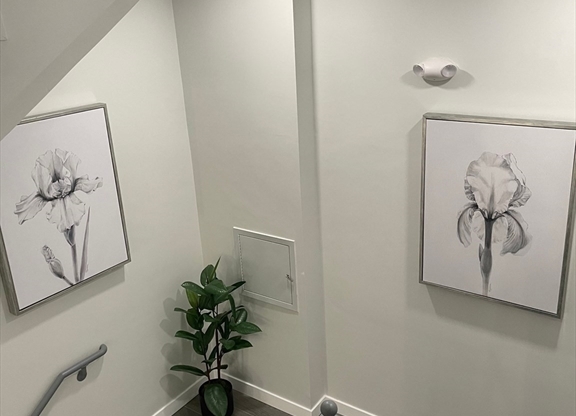 2 beds, 1 bath, $2,250, Unit 203