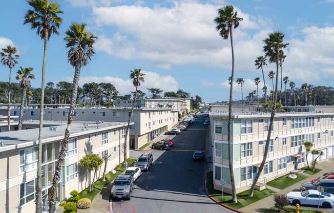 a view of a street in oceanside with palm trees on both sides of the street