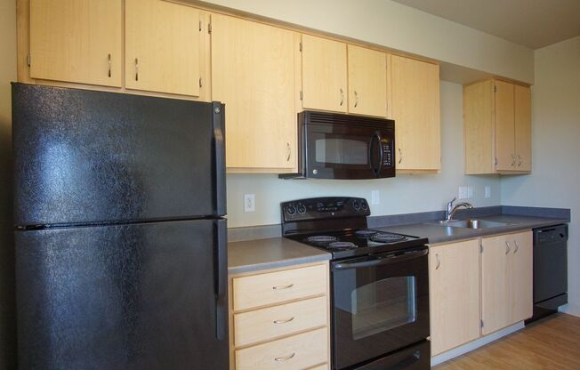 Studio, 1 bath, $1,165, Unit 202