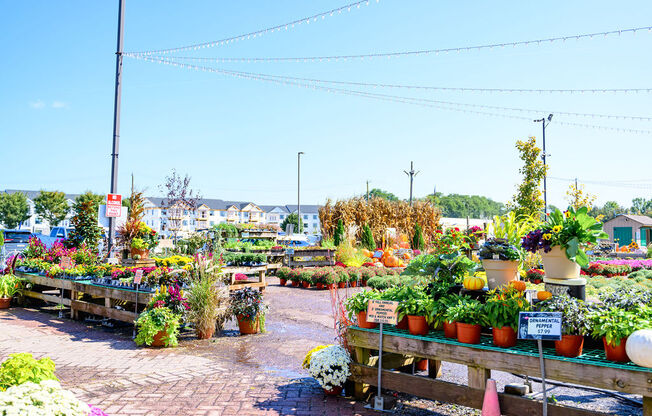 A garden center with a variety of plants for sale at Madison Prickett Preserve, Pennsylvania
