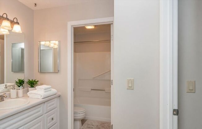 1 bed, 1 bath, 768 sqft, $547, Unit 207