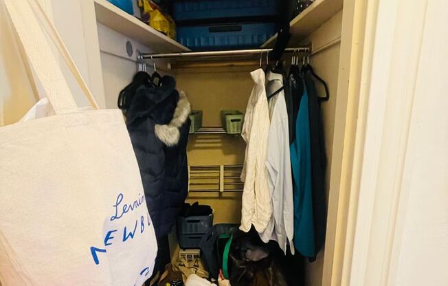 Studio, 1 bath, 335 sqft, $2,450, Unit 47