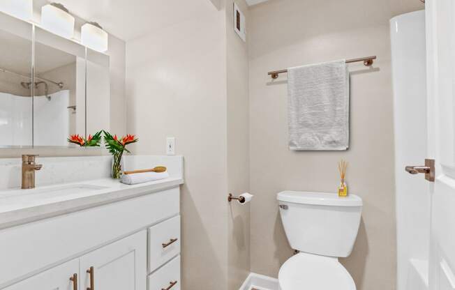 a bathroom with a toilet sink and mirror