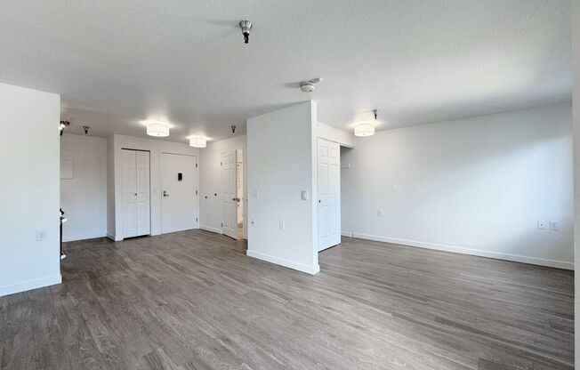 Studio, 1 bath, 480 sqft, $1,395, Unit 422