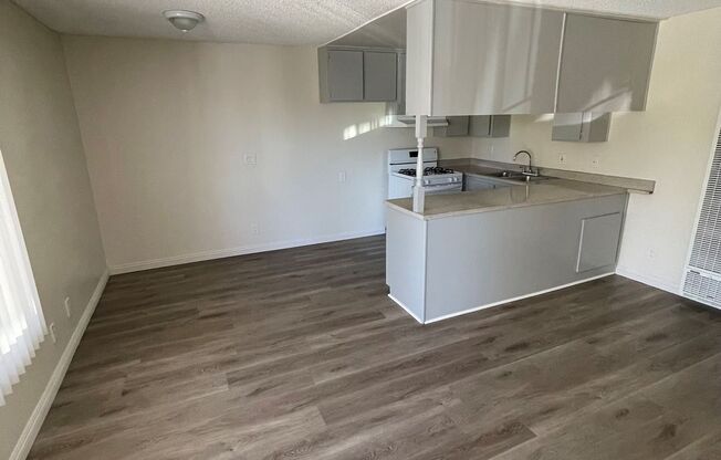 1 bed, 1 bath, 546 sqft, $1,795, Unit 203