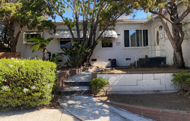 Large House!! Quick walk to campus!!