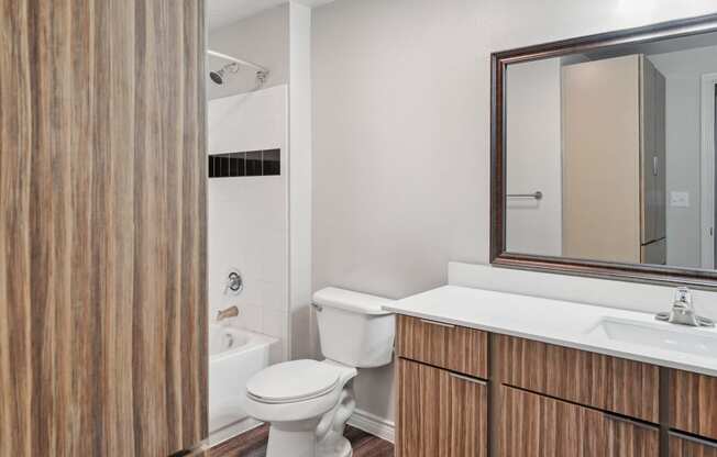 a bathroom with a toilet and a sink and a mirror