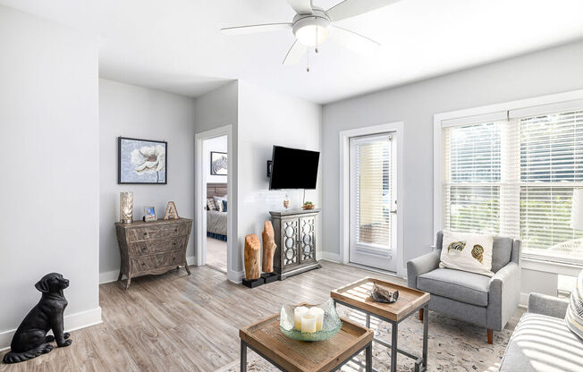 Modern living Room at The Ashley, South Carolina