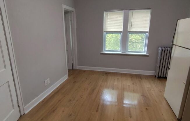 Studio, 1 bath, $795, Unit 315