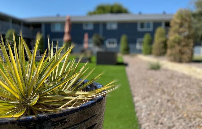 1 bed, 1 bath, 650 sqft, $995, Unit 106