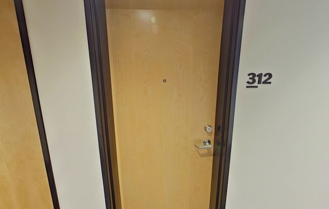 Studio, 1 bath, 314 sqft, $1,250, Unit 312