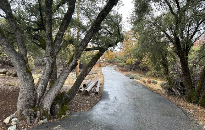 Beautiful 3 Bedroom 2.5 Bathroom House in Nevada City