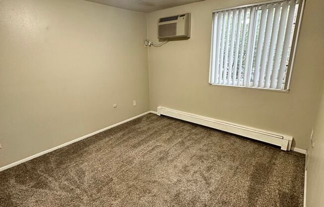 1 bed, 1 bath, $1,250, Unit 205