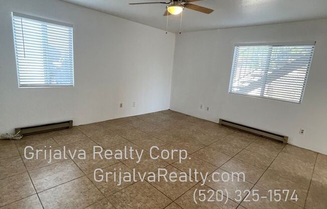 3809 Queen Palm Maintenance