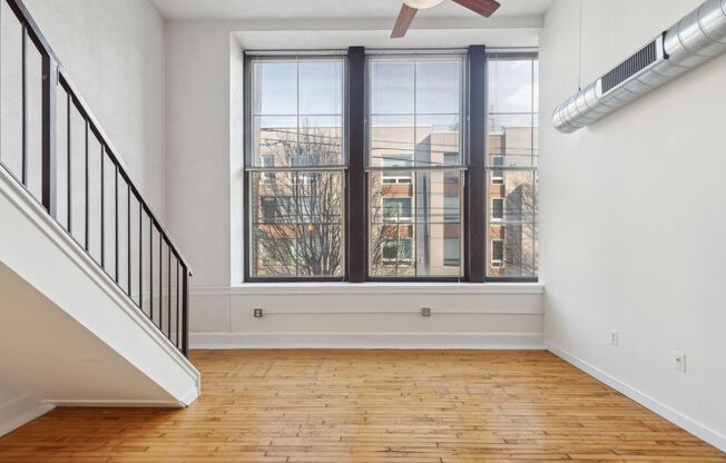 Newly Renovated Condo Center City