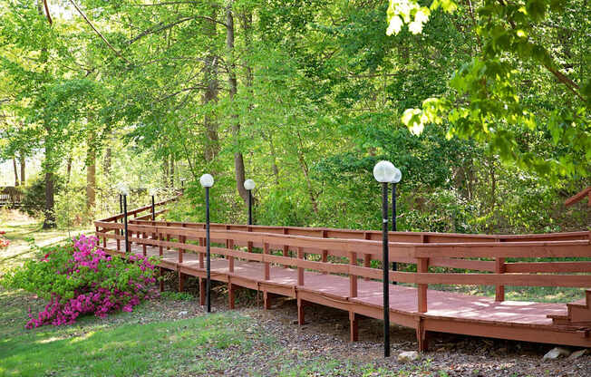 A wooden bridge in a lush green forest.
