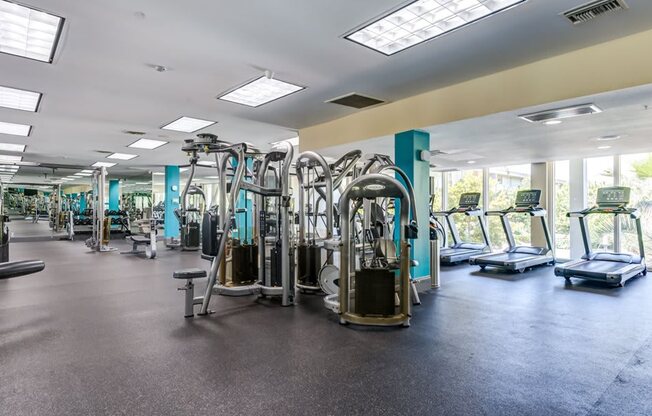 The Gym at The Chadwick, California, 90004