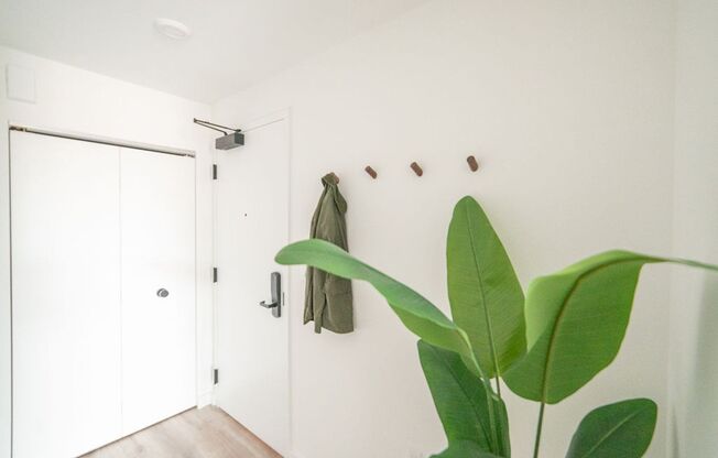 Studio, 1 bath, 349 sqft, $1,236, Unit 206A