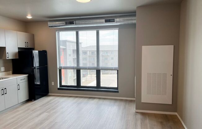 Studio, 1 bath, 558 sqft, $925, Unit Bldg 5 Apt 5326