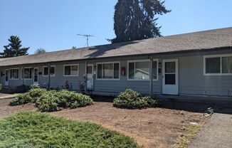 HONEYSUCKLE2512