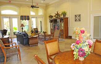 Affordable Apartments in Tampa, Florida