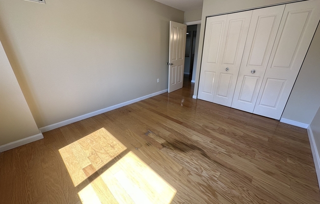1 bed, 1 bath, 655 sqft, $3,200, Unit 215