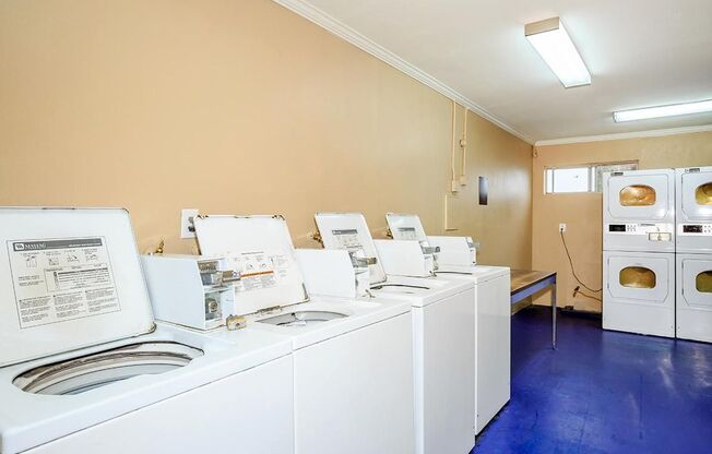 Studio, 1 bath, $1,425, Unit 9