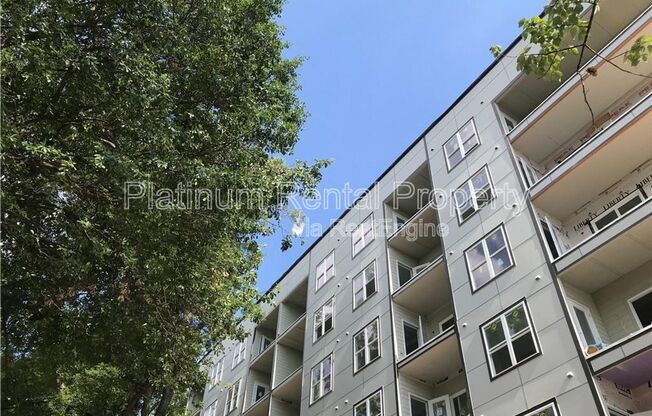 1 bed, 1 bath, 657 sqft, $1,575, Unit 406