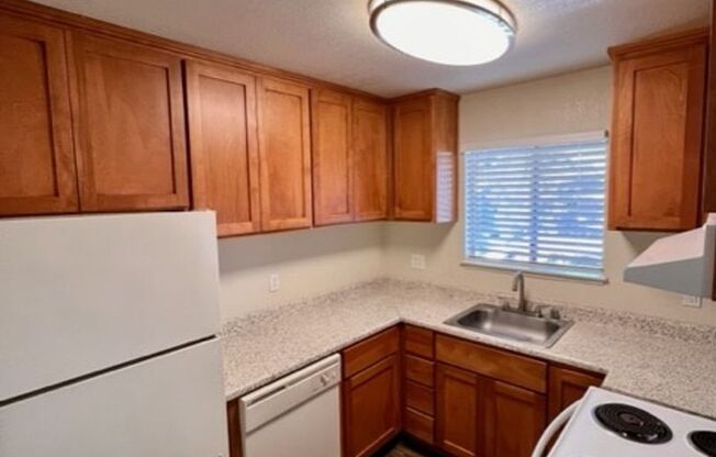 1 bed, 1 bath, 700 sqft, $1,595, Unit 36