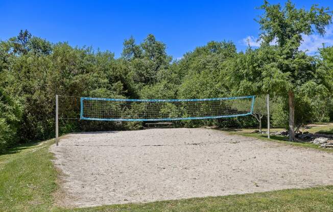 the volleyball court is located in front of the trees