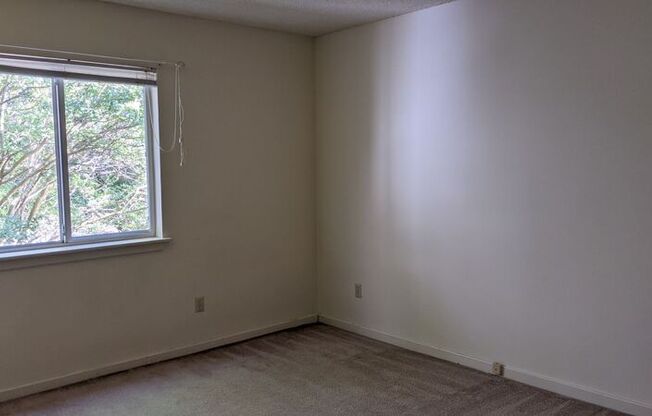1203 F-4 Jamestown Road