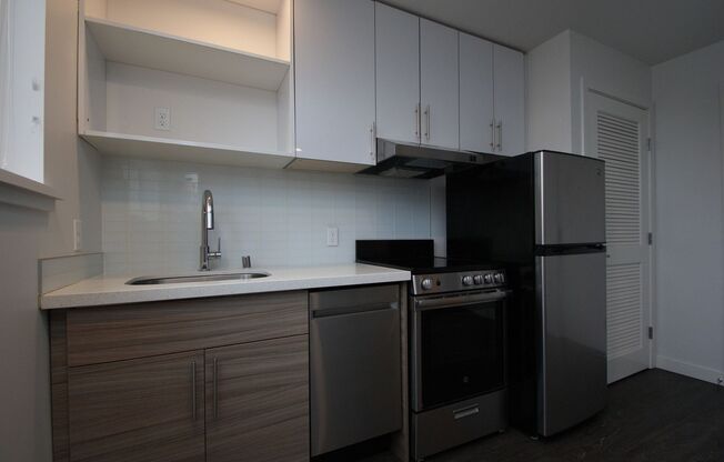 Studio, 1 bath, 255 sqft, $1,025, Unit 315