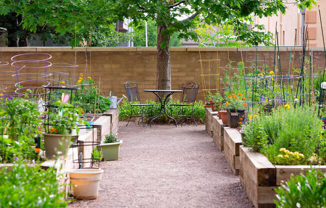 A garden with a bench and a table surrounded by plants.