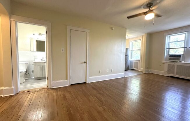 Studio, 1 bath, 450 sqft, $958, Unit Apt 307