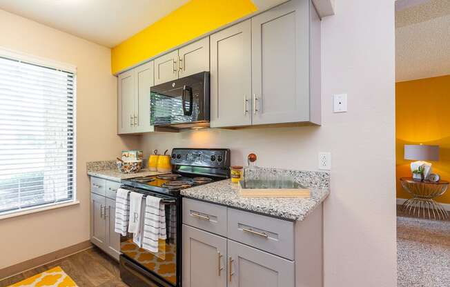 Custom Maple Cabinetry at The Reserve At Barry Apartments, Missouri, 64154