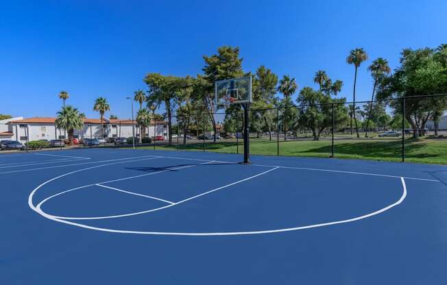 a blue basketball court with a black fence and palm trees in the background