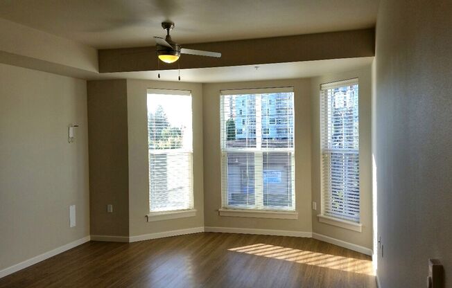 Studio, 1 bath, 515 sqft, $1,275, Unit 303