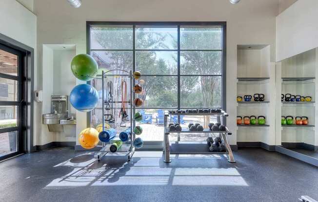 A gym with a row of exercise balls and weight plates.