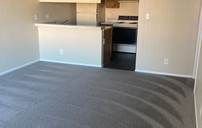 1 bed, 1 bath, 565 sqft, $999, Unit 215