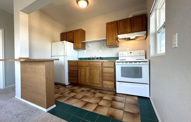 1 bed, 1 bath, 500 sqft, $1,195, Unit Unit 3