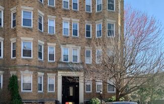 124 Peterborough St