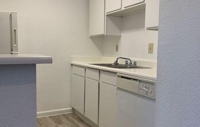 1 bed, 1 bath, 583 sqft, $790, Unit 0502