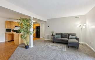 A living room with a grey couch and a grey rug.