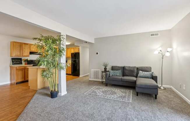 A living room with a grey couch and a grey rug.