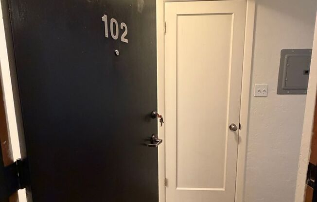 Studio, 1 bath, 374 sqft, $1,150, Unit 102