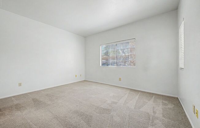 1 bed, 1 bath, $1,175, Unit Unit 1019