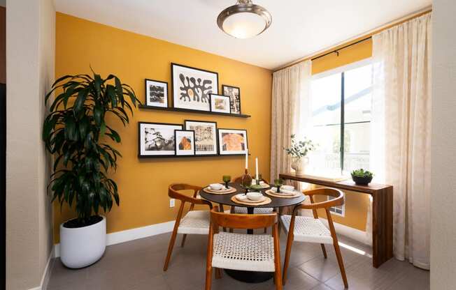 a dining room with a table and chairs and a plant