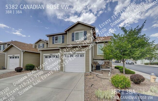 5382 CANADIAN ROSE VW