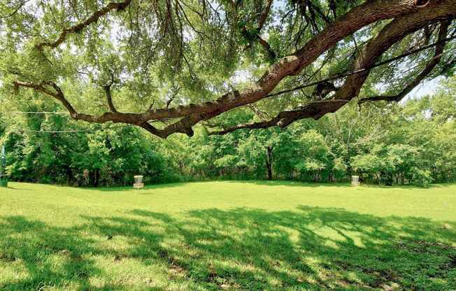 A large tree with a thick trunk and sprawling branches dominates the scene.